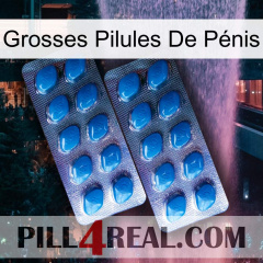 Grosses Pilules De Pénis viagra2